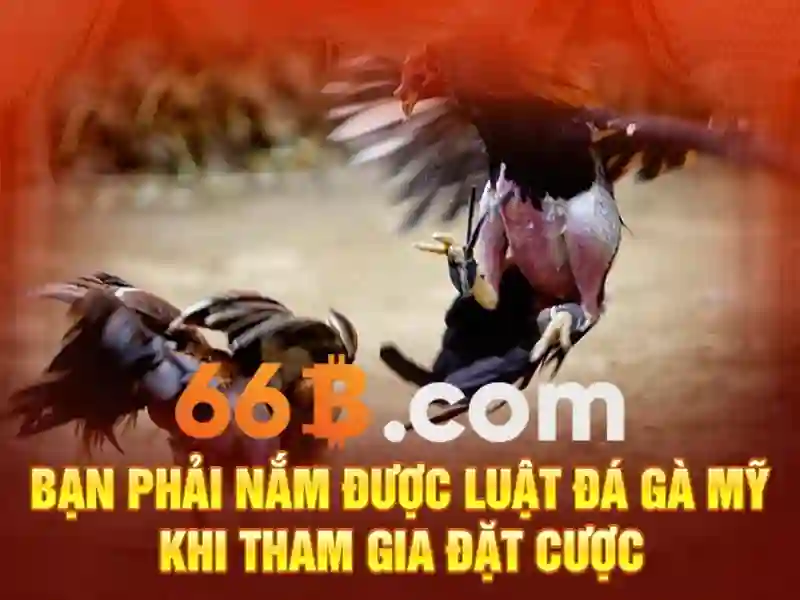 Hiệu suất và ứng dụng thực tiễn