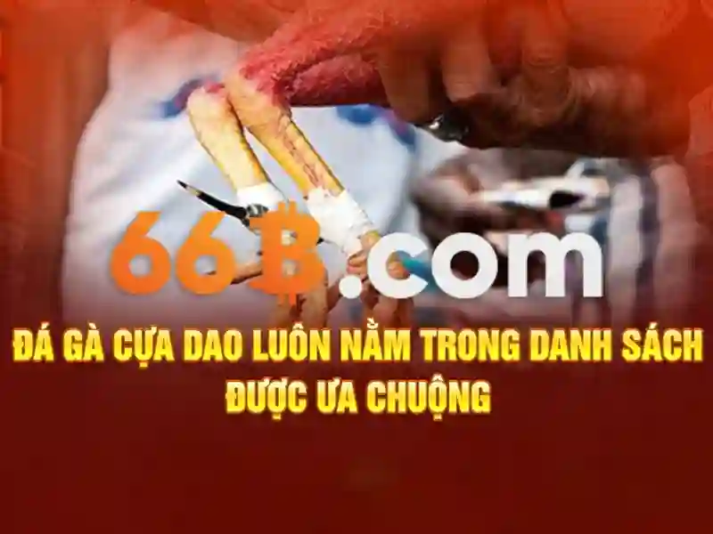 66b là gì và tại sao nó quan trọng?