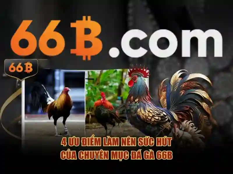 66b: một khái niệm mở rộng và ứng dụng