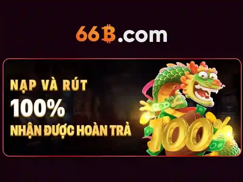 66B là gì và tại sao nó quan trọng