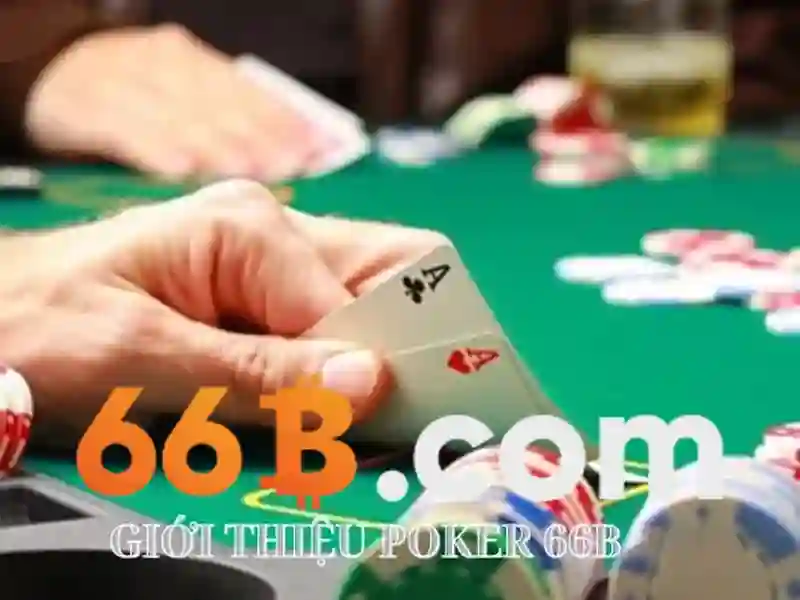 Về 66b: một cái nhìn tổng quan