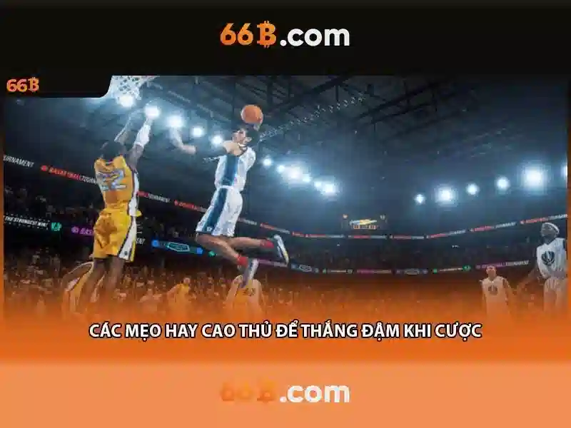 66B: Mô hình ngôn ngữ lớn của thế hệ mới
