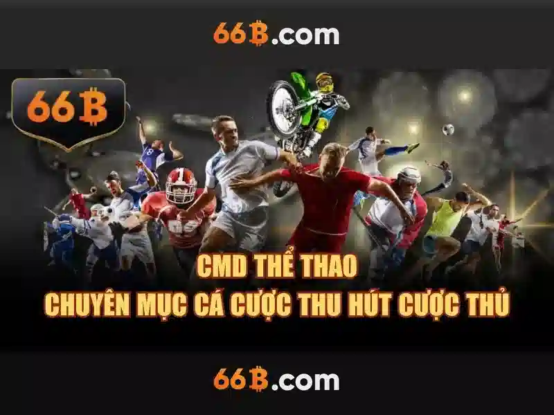 66b là gì?