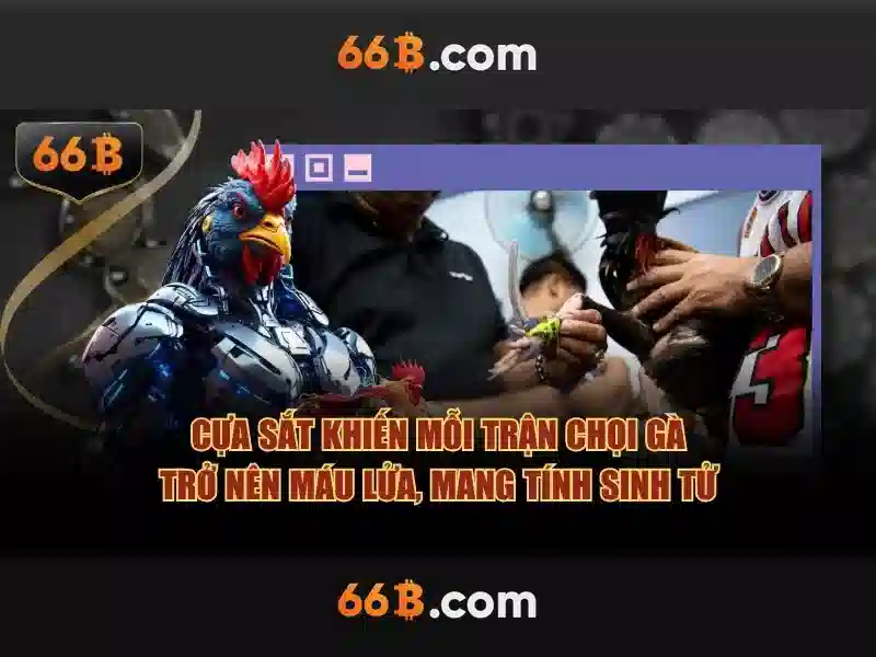 66B: Mô hình ngôn ngữ lớn và hành trình của một phiên bản đang nở rộ