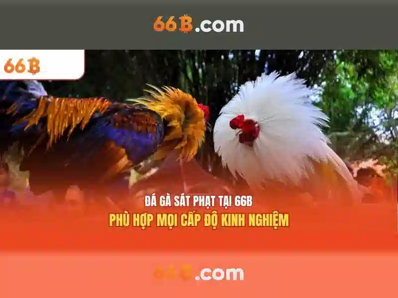 Kiến trúc và khả năng