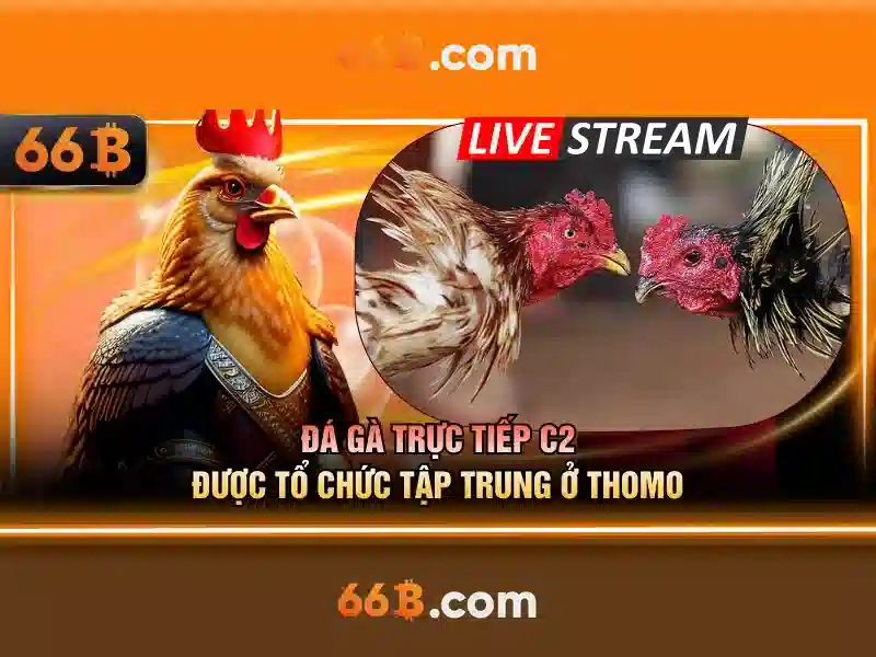 Kiến trúc và đặc điểm nổi bật