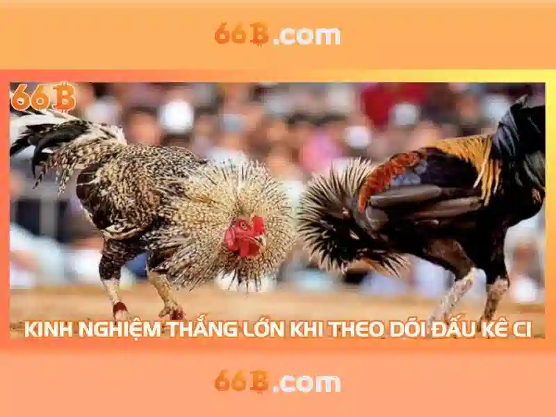 66B: Hiểu biết và tiềm năng của mô hình ngôn ngữ 66 tỷ tham số