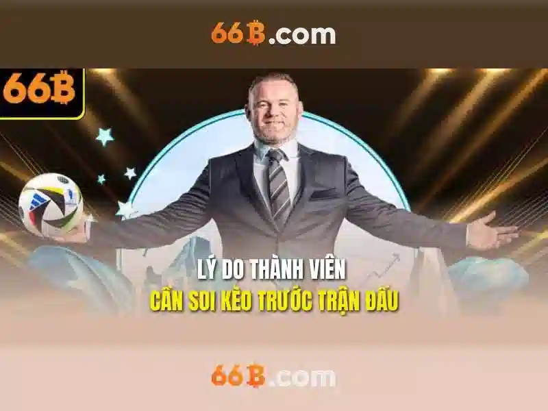 66b: một khái niệm mở trong công nghệ và văn hóa số