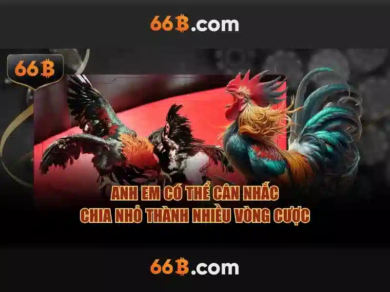 Hiệu suất và ứng dụng