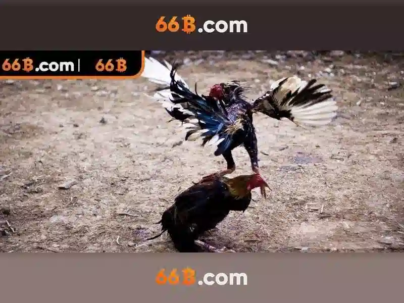Ứng dụng và triển vọng của 66b