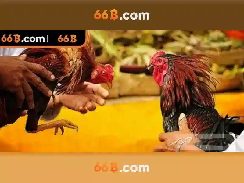 66B: Hiểu về mô hình ngôn ngữ có 66 tỷ tham số