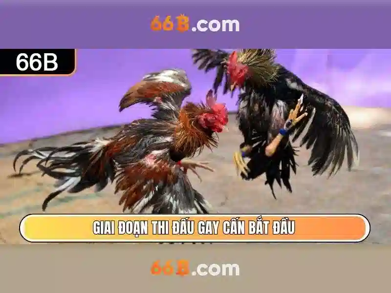 Kết luận và suy nghĩ mở