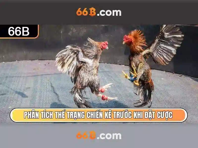 66B – Mô hình ngôn ngữ quy mô 66 tỷ tham số
