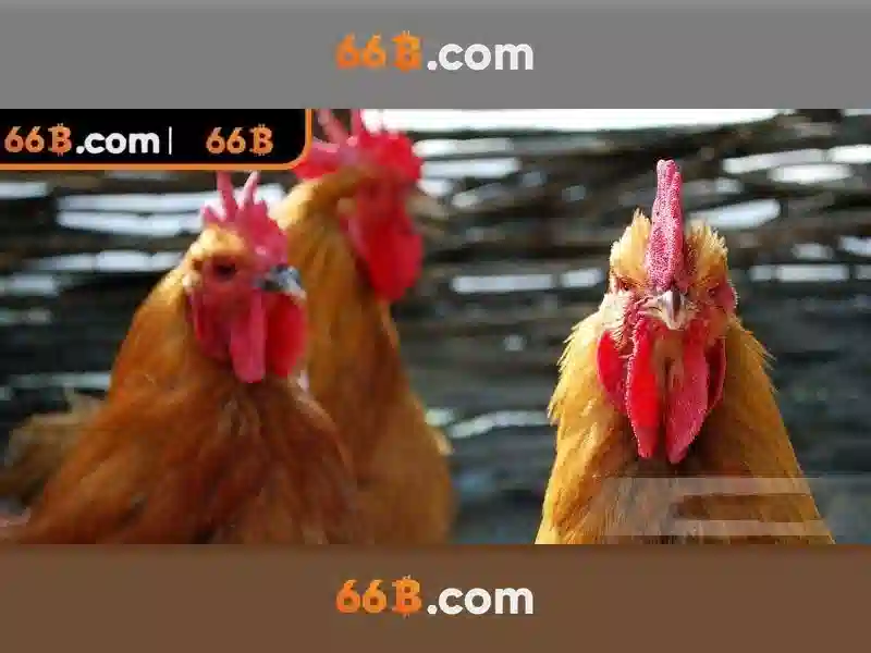 66B: Mô hình ngôn ngữ quy mô 66 tỷ tham số và tương lai của AI ngôn ngữ