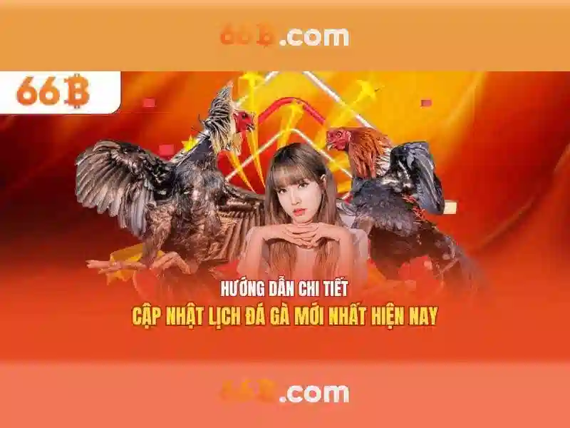 66b là gì?
