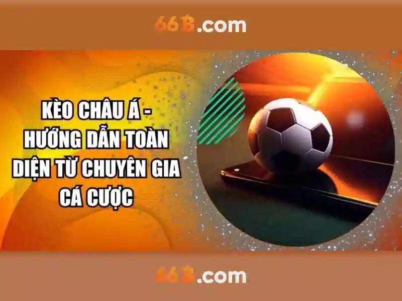 Cấu trúc và quy mô