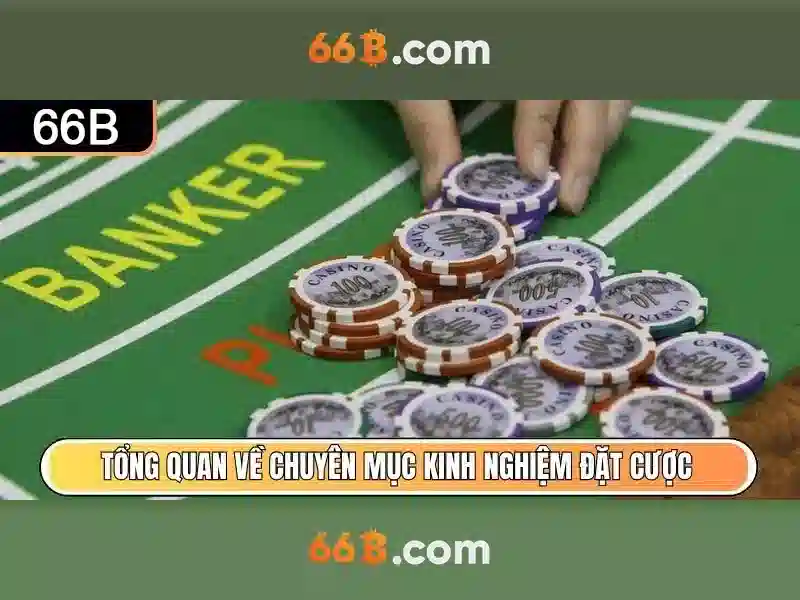 Trai nghiem AR VR 5G