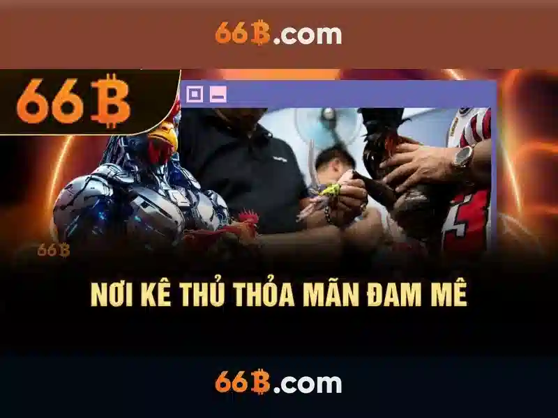 Hiệu suất và ứng dụng