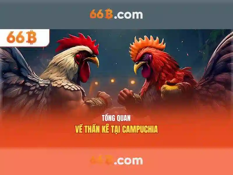 66B: một mô hình ngôn ngữ 66 tỷ tham số và hành trình của nó