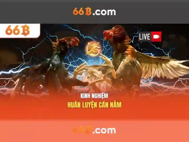 Kiến trúc và tham số