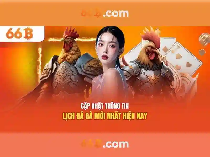 Hiệu suất và ứng dụng của 66B trong thực tế