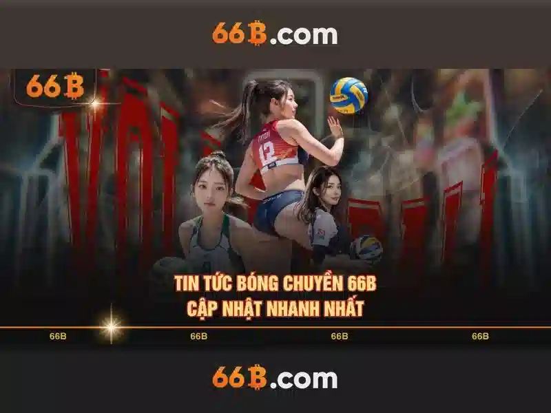 66b: cái nhìn tổng quan