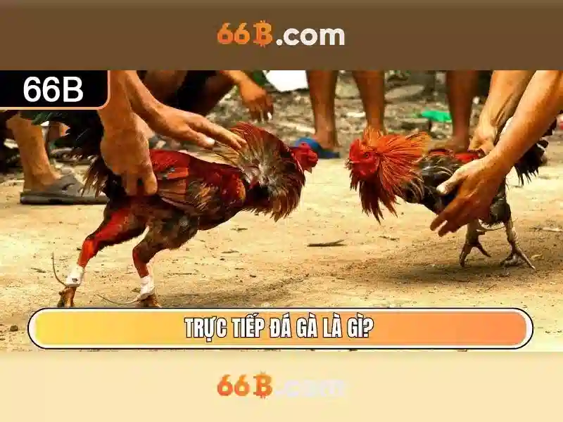 Đặc điểm và kiến trúc của 66b