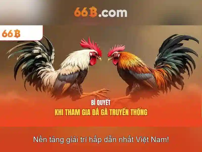66B là gì và tại sao quan trọng