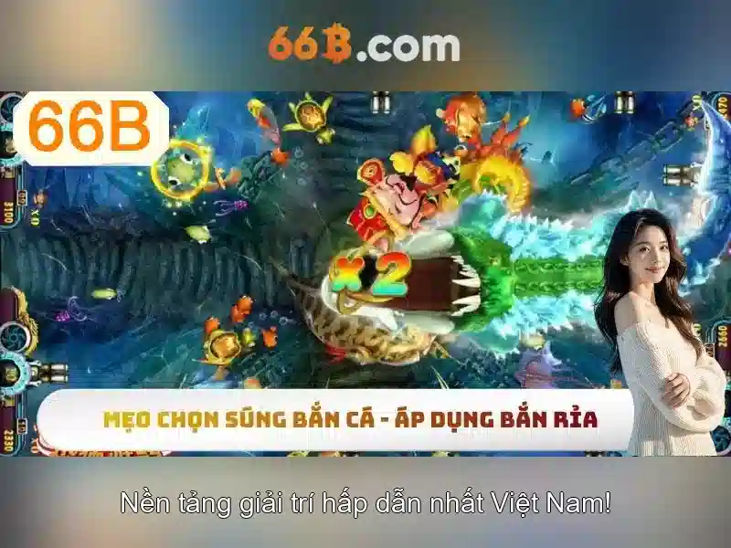 66b là gì