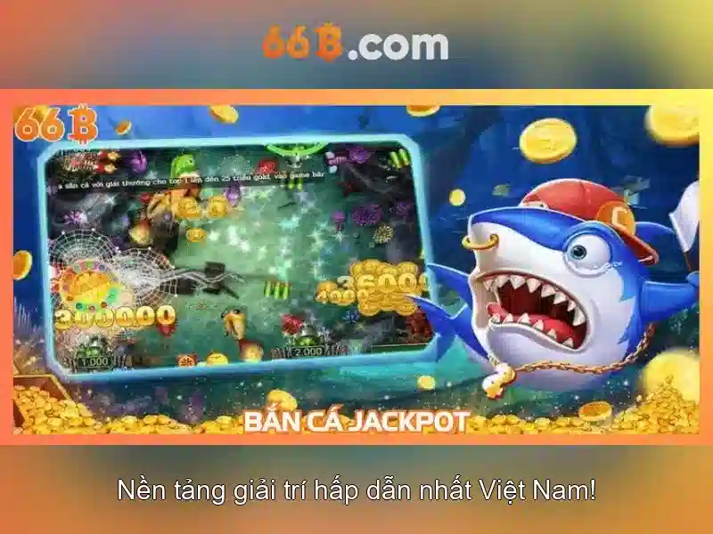 66B là gì?