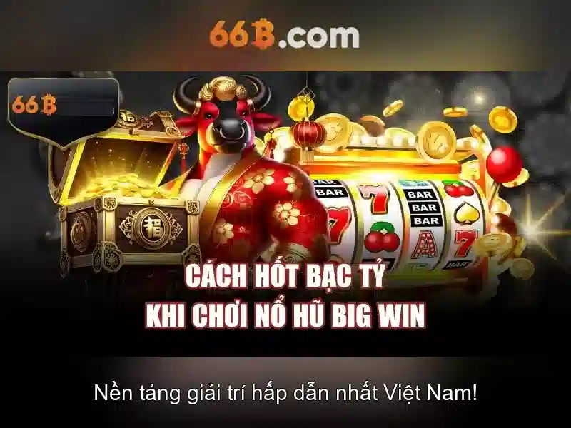 66b là gì