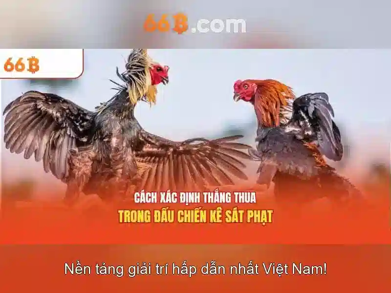 Bang so sanh RTP va ma hoa