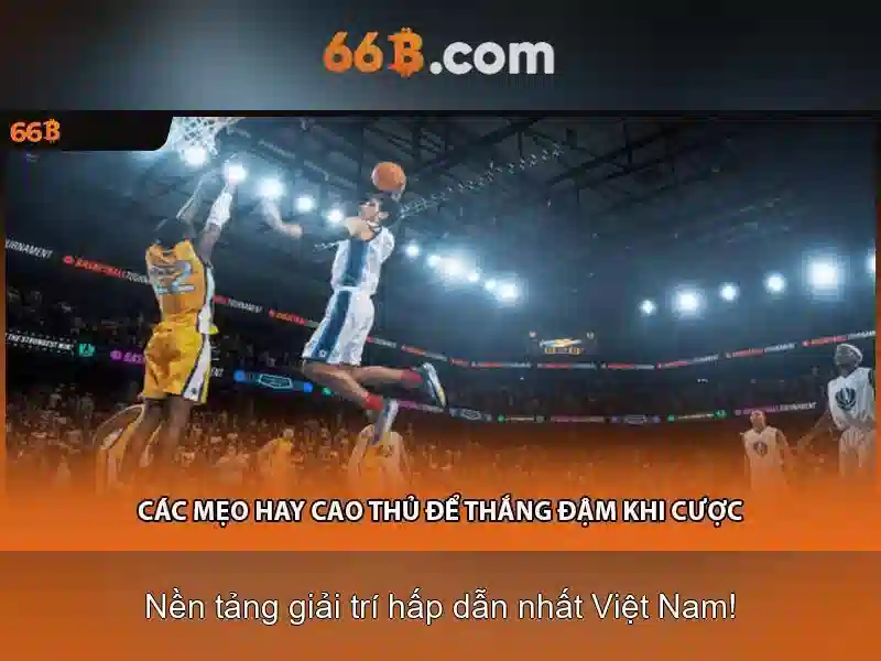 66b là gì?