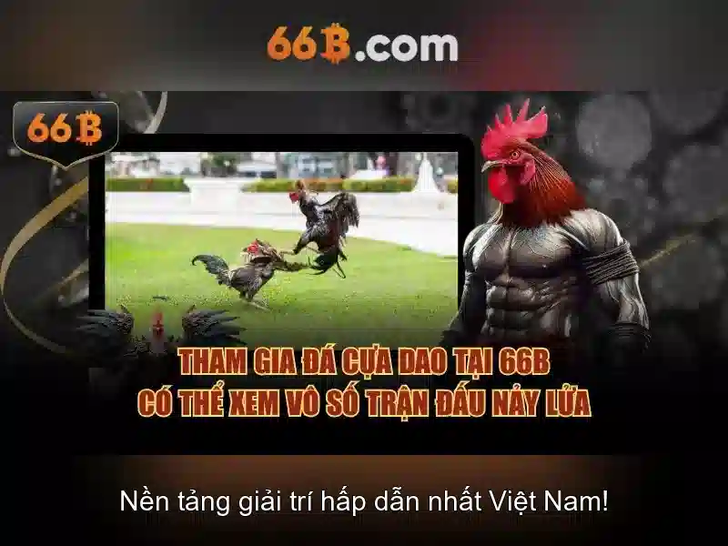 Nguồn gốc và sự phát triển của 66b