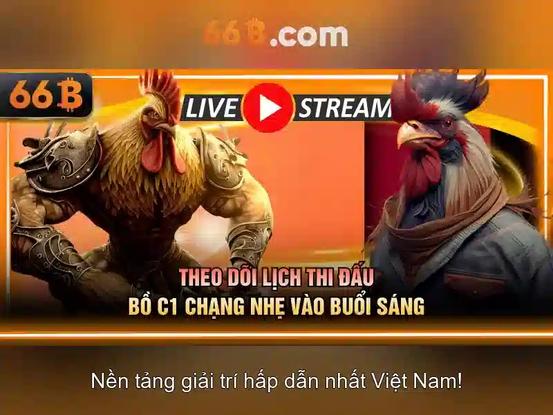 Kiến trúc chung và cách hoạt động