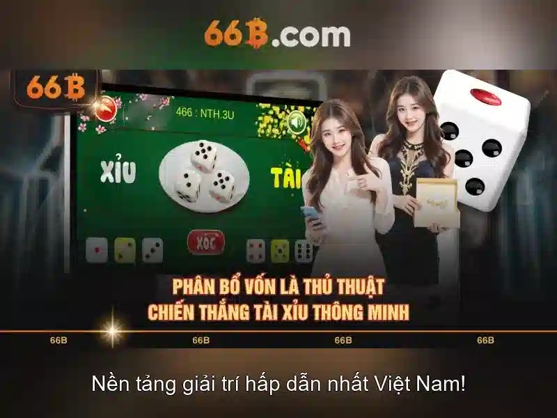 66b là gì? một cái nhìn tổng quan