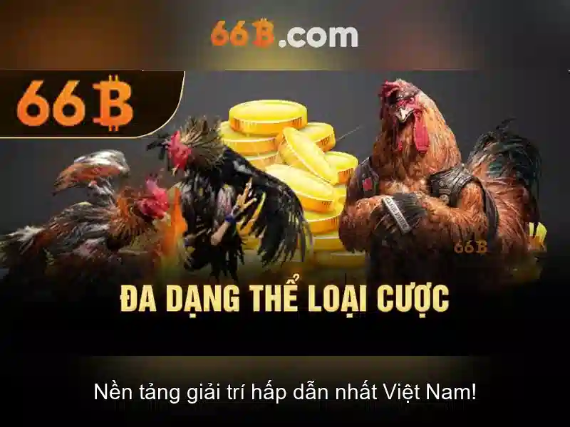 Khái niệm 66b