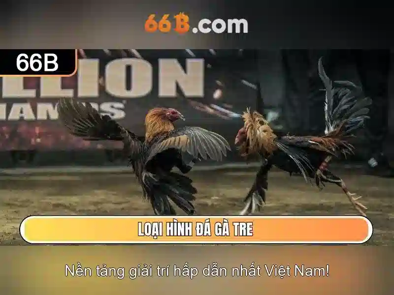 Hiệu suất và hạn chế