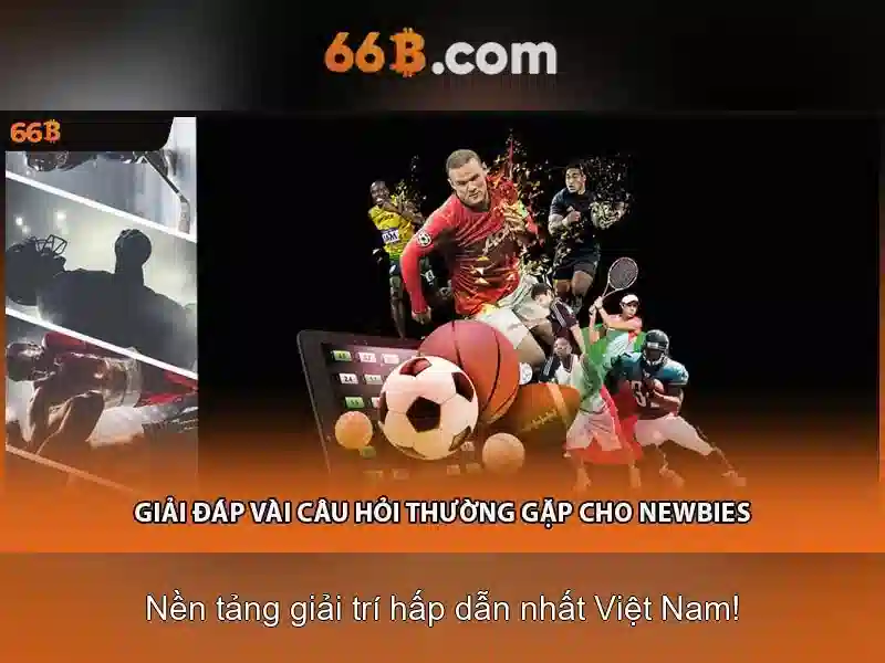 Khái niệm 66B