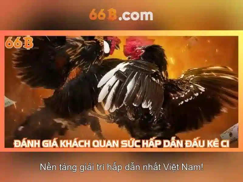 66B: Hiểu rõ về mô hình ngôn ngữ lớn 66B