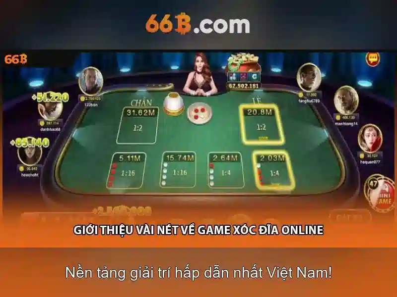 Cách sử dụng và các ứng dụng phổ biến