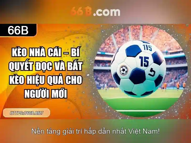 66B là gì?