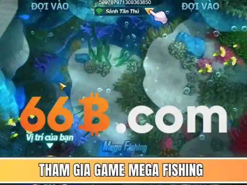 66B: Khái niệm, đặc điểm và ứng dụng