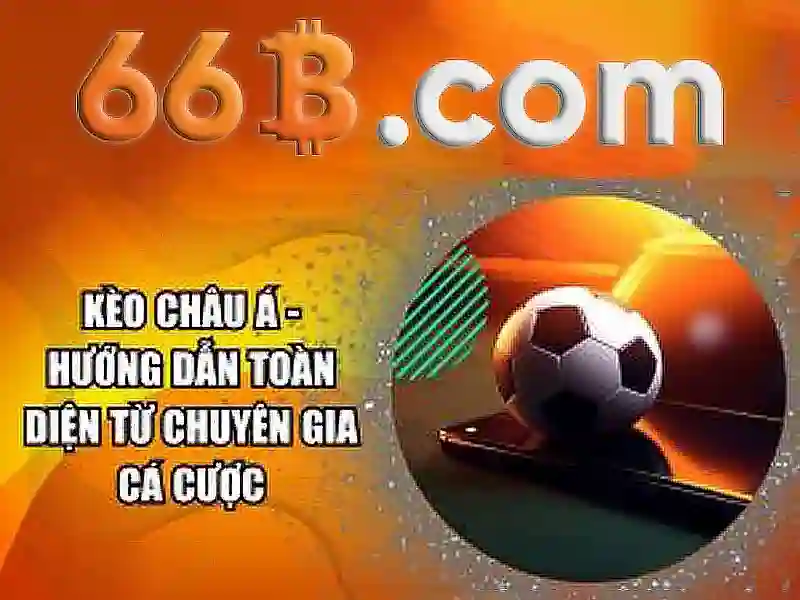 Giới thiệu về 66B
