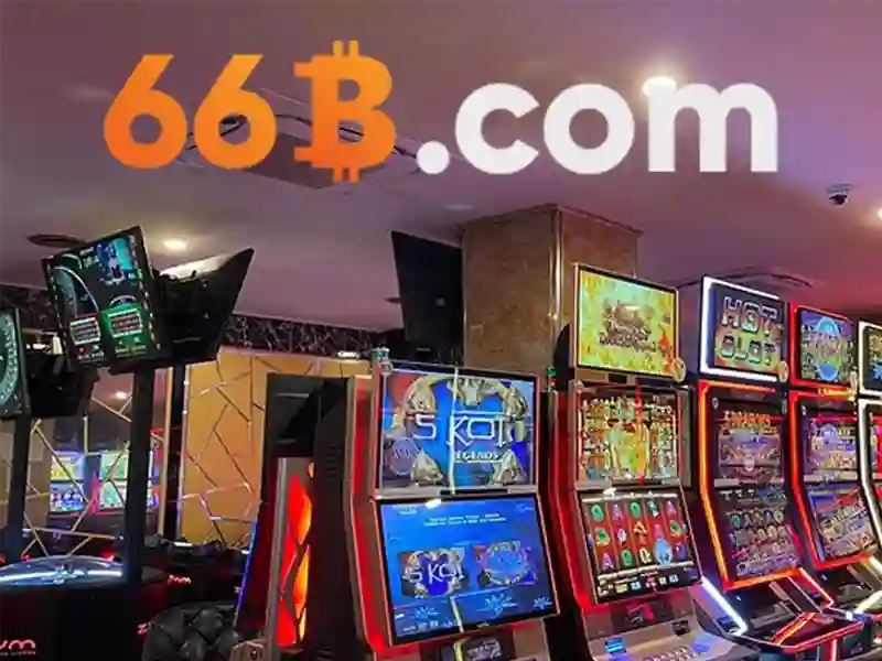 66b là gì?