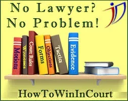 How To Win In Court